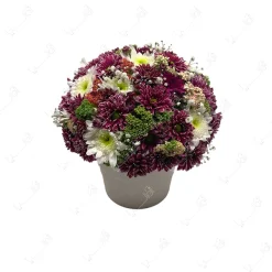 ارسال باکس گل طبیعی در تهران-باکس گل طبیعی گرد با داوودی کد b193
